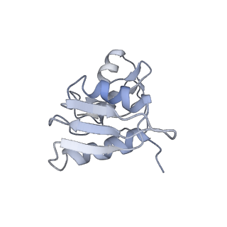 6644_5jup_TB_v1-3
Saccharomyces cerevisiae 80S ribosome bound with elongation factor eEF2-GDP-sordarin and Taura Syndrome Virus IRES, Structure II (mid-rotated 40S subunit)