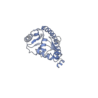 6644_5jup_T_v1-3
Saccharomyces cerevisiae 80S ribosome bound with elongation factor eEF2-GDP-sordarin and Taura Syndrome Virus IRES, Structure II (mid-rotated 40S subunit)