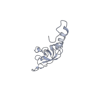 6644_5jup_UB_v1-3
Saccharomyces cerevisiae 80S ribosome bound with elongation factor eEF2-GDP-sordarin and Taura Syndrome Virus IRES, Structure II (mid-rotated 40S subunit)