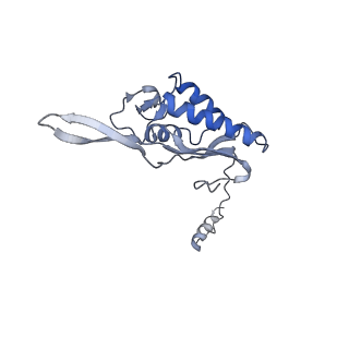 6644_5jup_U_v1-3
Saccharomyces cerevisiae 80S ribosome bound with elongation factor eEF2-GDP-sordarin and Taura Syndrome Virus IRES, Structure II (mid-rotated 40S subunit)