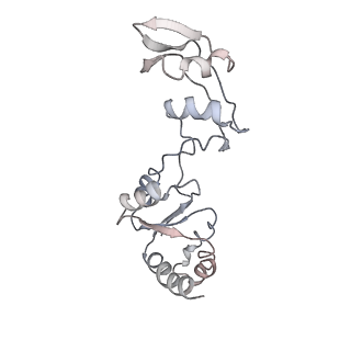 6644_5jup_VA_v1-3
Saccharomyces cerevisiae 80S ribosome bound with elongation factor eEF2-GDP-sordarin and Taura Syndrome Virus IRES, Structure II (mid-rotated 40S subunit)