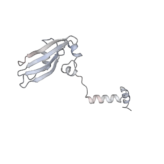 6644_5jup_VB_v1-3
Saccharomyces cerevisiae 80S ribosome bound with elongation factor eEF2-GDP-sordarin and Taura Syndrome Virus IRES, Structure II (mid-rotated 40S subunit)
