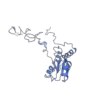 6644_5jup_V_v1-3
Saccharomyces cerevisiae 80S ribosome bound with elongation factor eEF2-GDP-sordarin and Taura Syndrome Virus IRES, Structure II (mid-rotated 40S subunit)