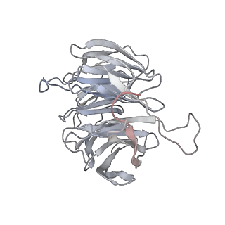 6644_5jup_WA_v1-3
Saccharomyces cerevisiae 80S ribosome bound with elongation factor eEF2-GDP-sordarin and Taura Syndrome Virus IRES, Structure II (mid-rotated 40S subunit)