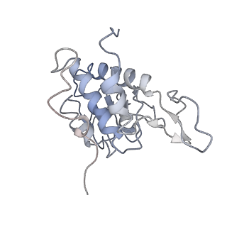 6644_5jup_XA_v1-3
Saccharomyces cerevisiae 80S ribosome bound with elongation factor eEF2-GDP-sordarin and Taura Syndrome Virus IRES, Structure II (mid-rotated 40S subunit)