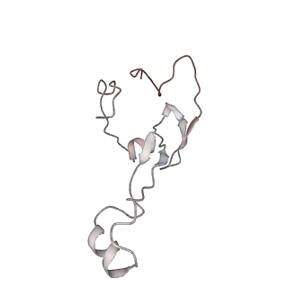 6644_5jup_XB_v1-3
Saccharomyces cerevisiae 80S ribosome bound with elongation factor eEF2-GDP-sordarin and Taura Syndrome Virus IRES, Structure II (mid-rotated 40S subunit)