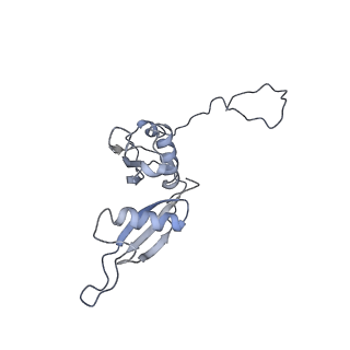 6644_5jup_X_v1-3
Saccharomyces cerevisiae 80S ribosome bound with elongation factor eEF2-GDP-sordarin and Taura Syndrome Virus IRES, Structure II (mid-rotated 40S subunit)