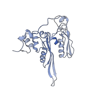 6644_5jup_ZA_v1-3
Saccharomyces cerevisiae 80S ribosome bound with elongation factor eEF2-GDP-sordarin and Taura Syndrome Virus IRES, Structure II (mid-rotated 40S subunit)