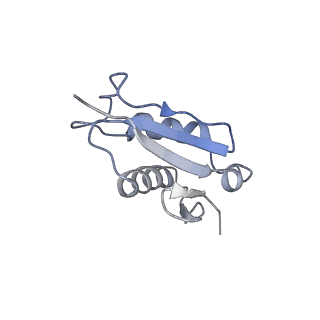 6644_5jup_Z_v1-3
Saccharomyces cerevisiae 80S ribosome bound with elongation factor eEF2-GDP-sordarin and Taura Syndrome Virus IRES, Structure II (mid-rotated 40S subunit)