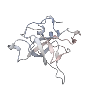6645_5jus_AA_v1-4
Saccharomyces cerevisiae 80S ribosome bound with elongation factor eEF2-GDP-sordarin and Taura Syndrome Virus IRES, Structure III (mid-rotated 40S subunit)