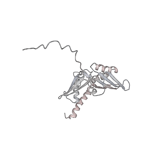 6645_5jus_AB_v1-4
Saccharomyces cerevisiae 80S ribosome bound with elongation factor eEF2-GDP-sordarin and Taura Syndrome Virus IRES, Structure III (mid-rotated 40S subunit)