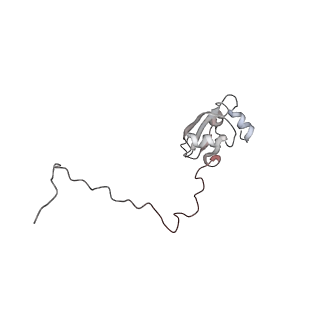 6645_5jus_CA_v1-4
Saccharomyces cerevisiae 80S ribosome bound with elongation factor eEF2-GDP-sordarin and Taura Syndrome Virus IRES, Structure III (mid-rotated 40S subunit)