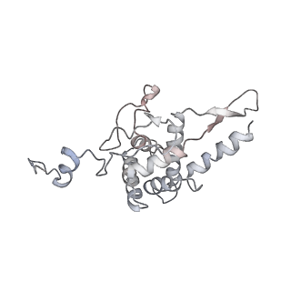 6645_5jus_CB_v1-4
Saccharomyces cerevisiae 80S ribosome bound with elongation factor eEF2-GDP-sordarin and Taura Syndrome Virus IRES, Structure III (mid-rotated 40S subunit)