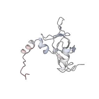6645_5jus_DA_v1-4
Saccharomyces cerevisiae 80S ribosome bound with elongation factor eEF2-GDP-sordarin and Taura Syndrome Virus IRES, Structure III (mid-rotated 40S subunit)
