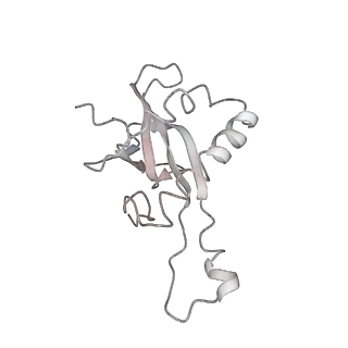 6645_5jus_EA_v1-4
Saccharomyces cerevisiae 80S ribosome bound with elongation factor eEF2-GDP-sordarin and Taura Syndrome Virus IRES, Structure III (mid-rotated 40S subunit)