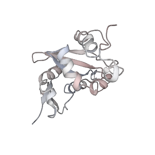 6645_5jus_EB_v1-4
Saccharomyces cerevisiae 80S ribosome bound with elongation factor eEF2-GDP-sordarin and Taura Syndrome Virus IRES, Structure III (mid-rotated 40S subunit)
