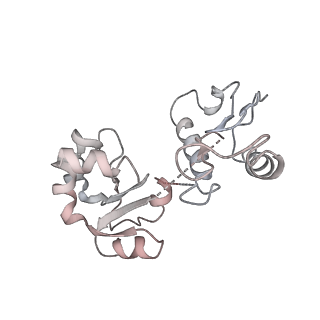 6645_5jus_E_v1-4
Saccharomyces cerevisiae 80S ribosome bound with elongation factor eEF2-GDP-sordarin and Taura Syndrome Virus IRES, Structure III (mid-rotated 40S subunit)