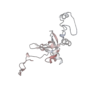 6645_5jus_FB_v1-4
Saccharomyces cerevisiae 80S ribosome bound with elongation factor eEF2-GDP-sordarin and Taura Syndrome Virus IRES, Structure III (mid-rotated 40S subunit)