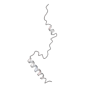 6645_5jus_GA_v1-4
Saccharomyces cerevisiae 80S ribosome bound with elongation factor eEF2-GDP-sordarin and Taura Syndrome Virus IRES, Structure III (mid-rotated 40S subunit)