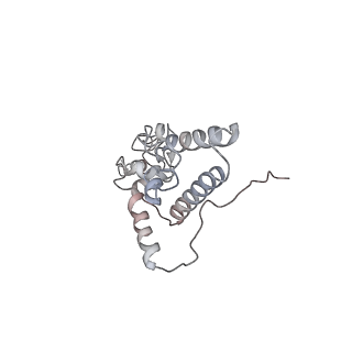 6645_5jus_GB_v1-4
Saccharomyces cerevisiae 80S ribosome bound with elongation factor eEF2-GDP-sordarin and Taura Syndrome Virus IRES, Structure III (mid-rotated 40S subunit)