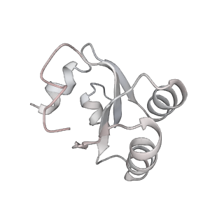 6645_5jus_HA_v1-4
Saccharomyces cerevisiae 80S ribosome bound with elongation factor eEF2-GDP-sordarin and Taura Syndrome Virus IRES, Structure III (mid-rotated 40S subunit)