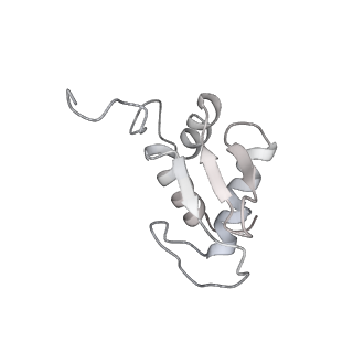 6645_5jus_HB_v1-4
Saccharomyces cerevisiae 80S ribosome bound with elongation factor eEF2-GDP-sordarin and Taura Syndrome Virus IRES, Structure III (mid-rotated 40S subunit)