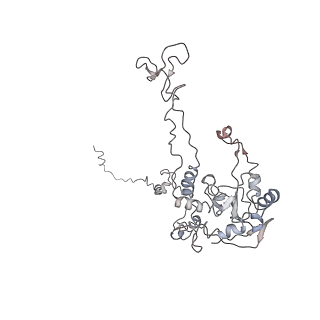 6645_5jus_H_v1-4
Saccharomyces cerevisiae 80S ribosome bound with elongation factor eEF2-GDP-sordarin and Taura Syndrome Virus IRES, Structure III (mid-rotated 40S subunit)