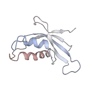 6645_5jus_IA_v1-4
Saccharomyces cerevisiae 80S ribosome bound with elongation factor eEF2-GDP-sordarin and Taura Syndrome Virus IRES, Structure III (mid-rotated 40S subunit)