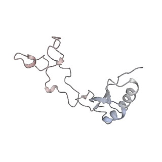 6645_5jus_JA_v1-4
Saccharomyces cerevisiae 80S ribosome bound with elongation factor eEF2-GDP-sordarin and Taura Syndrome Virus IRES, Structure III (mid-rotated 40S subunit)