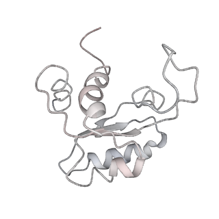 6645_5jus_JB_v1-4
Saccharomyces cerevisiae 80S ribosome bound with elongation factor eEF2-GDP-sordarin and Taura Syndrome Virus IRES, Structure III (mid-rotated 40S subunit)