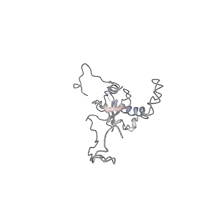 6645_5jus_J_v1-4
Saccharomyces cerevisiae 80S ribosome bound with elongation factor eEF2-GDP-sordarin and Taura Syndrome Virus IRES, Structure III (mid-rotated 40S subunit)