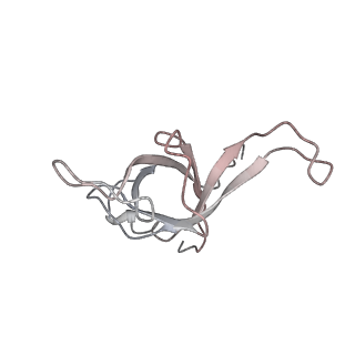 6645_5jus_KA_v1-4
Saccharomyces cerevisiae 80S ribosome bound with elongation factor eEF2-GDP-sordarin and Taura Syndrome Virus IRES, Structure III (mid-rotated 40S subunit)