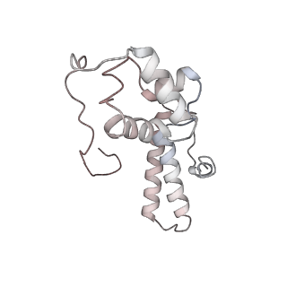 6645_5jus_KB_v1-4
Saccharomyces cerevisiae 80S ribosome bound with elongation factor eEF2-GDP-sordarin and Taura Syndrome Virus IRES, Structure III (mid-rotated 40S subunit)