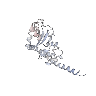 6645_5jus_K_v1-4
Saccharomyces cerevisiae 80S ribosome bound with elongation factor eEF2-GDP-sordarin and Taura Syndrome Virus IRES, Structure III (mid-rotated 40S subunit)