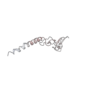 6645_5jus_LA_v1-4
Saccharomyces cerevisiae 80S ribosome bound with elongation factor eEF2-GDP-sordarin and Taura Syndrome Virus IRES, Structure III (mid-rotated 40S subunit)
