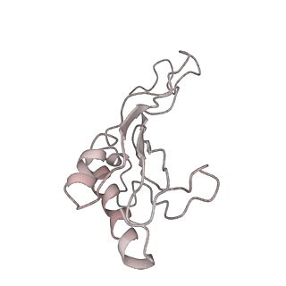 6645_5jus_LB_v1-4
Saccharomyces cerevisiae 80S ribosome bound with elongation factor eEF2-GDP-sordarin and Taura Syndrome Virus IRES, Structure III (mid-rotated 40S subunit)