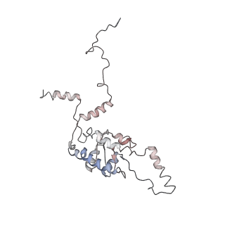 6645_5jus_L_v1-4
Saccharomyces cerevisiae 80S ribosome bound with elongation factor eEF2-GDP-sordarin and Taura Syndrome Virus IRES, Structure III (mid-rotated 40S subunit)