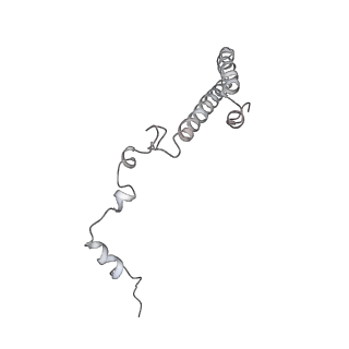 6645_5jus_MA_v1-4
Saccharomyces cerevisiae 80S ribosome bound with elongation factor eEF2-GDP-sordarin and Taura Syndrome Virus IRES, Structure III (mid-rotated 40S subunit)