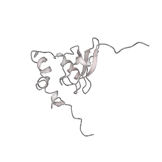 6645_5jus_MB_v1-4
Saccharomyces cerevisiae 80S ribosome bound with elongation factor eEF2-GDP-sordarin and Taura Syndrome Virus IRES, Structure III (mid-rotated 40S subunit)