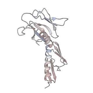 6645_5jus_M_v1-4
Saccharomyces cerevisiae 80S ribosome bound with elongation factor eEF2-GDP-sordarin and Taura Syndrome Virus IRES, Structure III (mid-rotated 40S subunit)