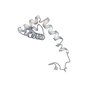 6645_5jus_NA_v1-4
Saccharomyces cerevisiae 80S ribosome bound with elongation factor eEF2-GDP-sordarin and Taura Syndrome Virus IRES, Structure III (mid-rotated 40S subunit)