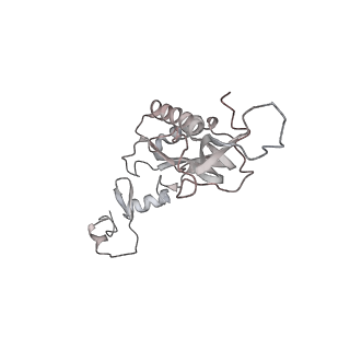 6645_5jus_N_v1-4
Saccharomyces cerevisiae 80S ribosome bound with elongation factor eEF2-GDP-sordarin and Taura Syndrome Virus IRES, Structure III (mid-rotated 40S subunit)