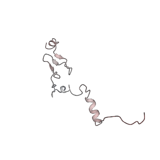 6645_5jus_OA_v1-4
Saccharomyces cerevisiae 80S ribosome bound with elongation factor eEF2-GDP-sordarin and Taura Syndrome Virus IRES, Structure III (mid-rotated 40S subunit)