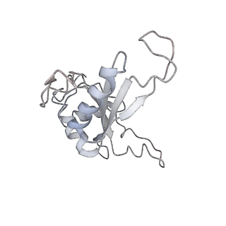 6645_5jus_O_v1-4
Saccharomyces cerevisiae 80S ribosome bound with elongation factor eEF2-GDP-sordarin and Taura Syndrome Virus IRES, Structure III (mid-rotated 40S subunit)