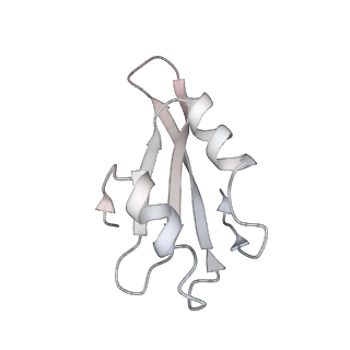 6645_5jus_PA_v1-4
Saccharomyces cerevisiae 80S ribosome bound with elongation factor eEF2-GDP-sordarin and Taura Syndrome Virus IRES, Structure III (mid-rotated 40S subunit)