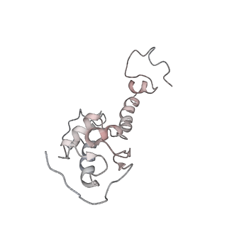 6645_5jus_PB_v1-4
Saccharomyces cerevisiae 80S ribosome bound with elongation factor eEF2-GDP-sordarin and Taura Syndrome Virus IRES, Structure III (mid-rotated 40S subunit)