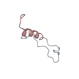 6645_5jus_QA_v1-4
Saccharomyces cerevisiae 80S ribosome bound with elongation factor eEF2-GDP-sordarin and Taura Syndrome Virus IRES, Structure III (mid-rotated 40S subunit)