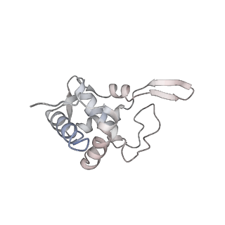 6645_5jus_QB_v1-4
Saccharomyces cerevisiae 80S ribosome bound with elongation factor eEF2-GDP-sordarin and Taura Syndrome Virus IRES, Structure III (mid-rotated 40S subunit)