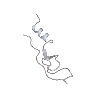 6645_5jus_RA_v1-4
Saccharomyces cerevisiae 80S ribosome bound with elongation factor eEF2-GDP-sordarin and Taura Syndrome Virus IRES, Structure III (mid-rotated 40S subunit)