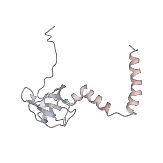 6645_5jus_R_v1-4
Saccharomyces cerevisiae 80S ribosome bound with elongation factor eEF2-GDP-sordarin and Taura Syndrome Virus IRES, Structure III (mid-rotated 40S subunit)